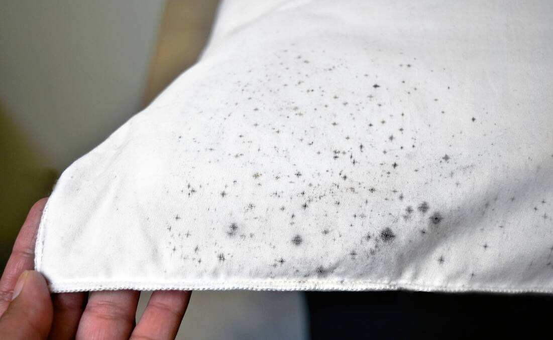 How to Remove Mildew Stains from Clothing