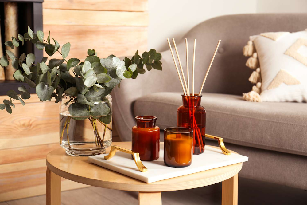 DIY Reed Diffuser Made with Essential Oils - Non-Toxic Fragrance for a Pleasant Home Environment