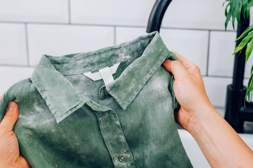 Effective Methods to Eliminate Mildew from Your Clothes